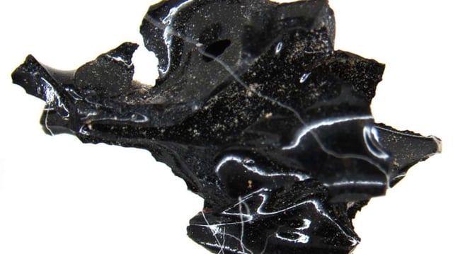 Human brain turned into glass. (Representational image)