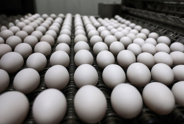PETALUMA, CALIFORNIA - FEBRUARY 18: Eggs move on a conveyor belt through an egg washer at Sunrise Farms on February 18, 2025 in Petaluma, California. As egg prices continue to skyrocket due to the avian flu outbreak, egg farmers are having to invest millions of dollars in biosecurity efforts to keep their flocks safe. Fourth-generation egg farm Sunrise Farms in Petaluma, California lost 550,000 chickens to avian flu in December of 2023, marking the first time in 112 years that the main family farm had no chickens. It took Sunrise Farms over a year to rebuild their flock to 900,000 chickens that produce nearly 500,000 eggs a week. (Photo by Justin Sullivan/Getty Images)