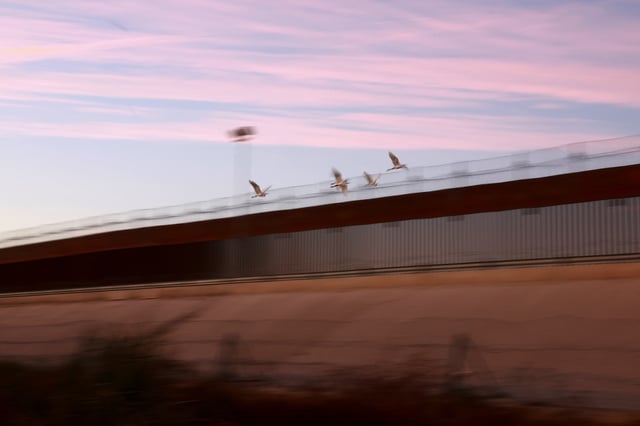 Birds fly near the border wall between the United States and Mexico, as seen from Ciudad Juarez, Mexico, February 26, 2025. REUTERS/Jose Luis Gonzalez