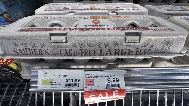 FILE - Egg cartons for sale are displayed at a grocery store, Friday, Feb. 7, 2025 in Grosse Pointe, Mich. (AP Photo/Paul Sancya, File)
