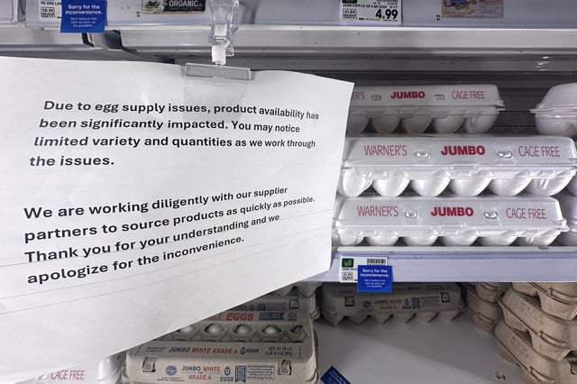 FILE - A sign is shown with egg cartons for sale at a grocery store Friday, Feb. 14, 2025 in Grosse Pointe Woods, Mich. (AP Photo/Paul Sancya, File)
