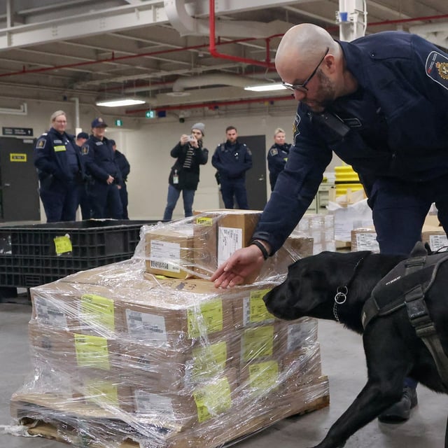 Denver, a Canada Border Service Agency drug-sniffing dog, demonstrates his drug-finding abilities at the Lansdowne Port of Entry next to the Thousand Islands Bridge in Lansdowne, Ontario, Canada February 12, 2025.  REUTERS/Patrick Doyle
