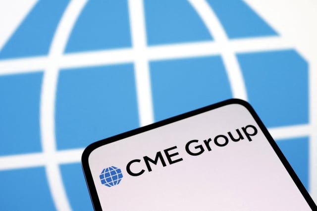 CME Group Inc logo is seen displayed in this illustration taken April 10, 2023. REUTERS/Dado Ruvic/Illustration/File Photo