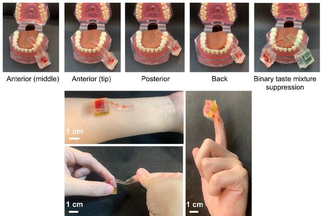 © Chen et al., Sci. Adv. 11, eadr4797 (2025); collage by Gizmodo