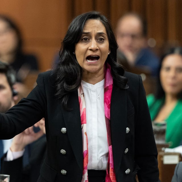 Transport Minister Anita Anand rises during question period on Tuesday, Dec. 17, 2024 in Ottawa.  THE CANADIAN PRESS/Adrian Wyld
