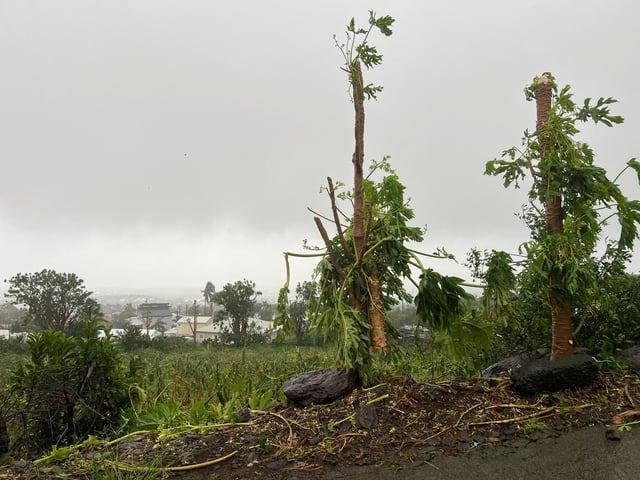 Des branches d’arbres cassées pendant la tempête Garance sur l’île de La Réunion dans l’océan Indien, à Saint-Denis, La Réunion le 28 février 2025.