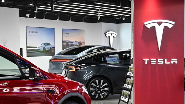 Elon Musk's entry into India with Tesla will heat-up the EV race in one of the world's largest automobile markets.
