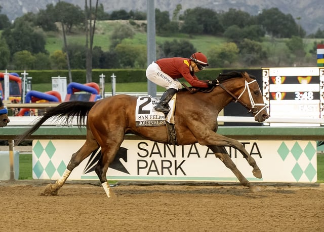 Journalism races to a victory in the San Felipe Stakes Saturday, March 1, 2025, at Santa Anita. (Benoit photo)
