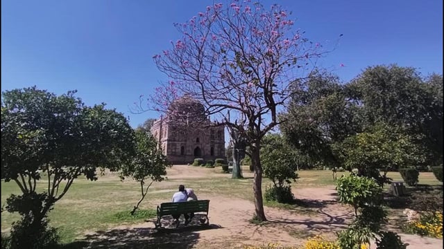 Blue skies at Lodhi Garden. (Vipin Kumar/HT Photo)