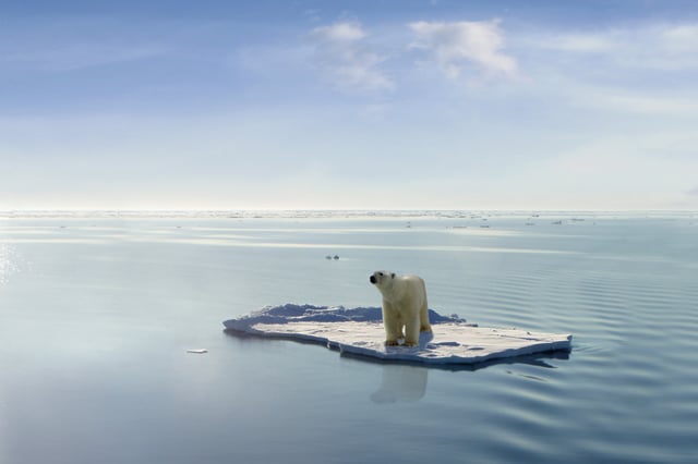 La fonte des glaces est particulièrement marquée dans l’Arctique.