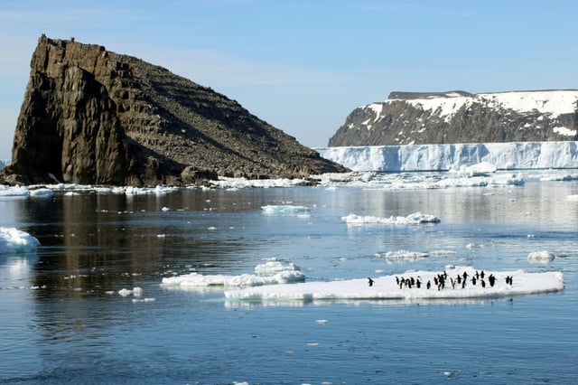 Adelie penguins on sea ice next to Comb Island, Danger Islands, Antarctica