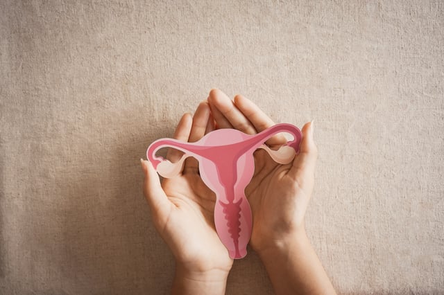 A woman holds an illustration of a uterus.