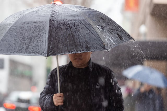 A pedestrian uses an umbrella to shield themself from the rain while walking in Chinatown during a heavy downpour in Oakland, Calif., on Feb. 13, 2025.