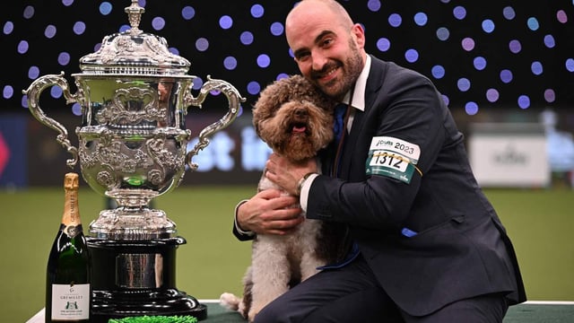 Orca, a lagotto romagnolo from Croatia, was named Crufts best in show in 2023