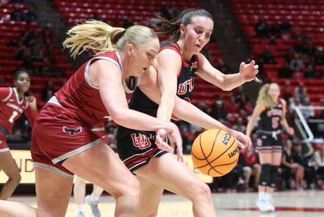 Kennady McQueen #24 of the Utah Utes battles for a loose ball with Laura Ziegler #4 of the St. Joseph&#39; s Hawks during the first half of their game at the Jon M Huntsman Center on November 22, 2024 in Salt Lake City, Utah.
