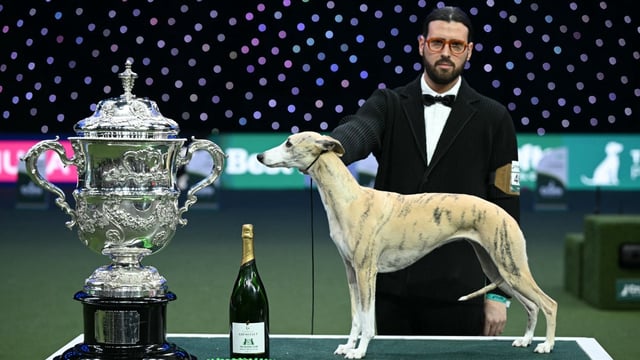 The award was presented to Miuccia and Giovanni Liguori shortly after a scuffle from a Peta protester, who attempted to derail the show