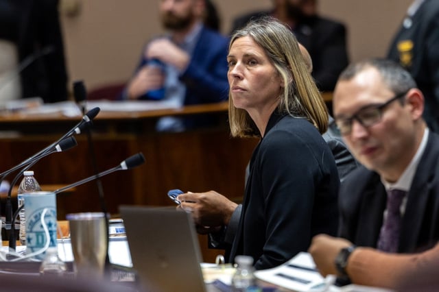 Then-COPA Chief Administrator Andrea Kersten appears before aldermen during a City Council budget hearing on Nov. 9, 2024. (Tess Crowley/Chicago Tribune)