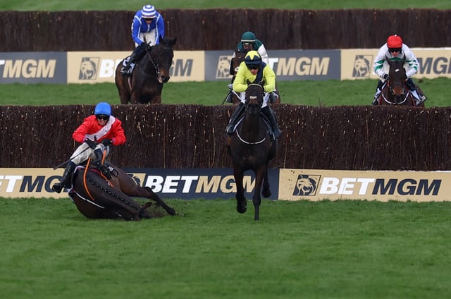 Horse Racing - Cheltenham Festival - Cheltenham Racecourse, Cheltenham, Britain - March 12, 2025 Quilixios ridden by Darragh O'Keeffe falls after jumping the last fence as Marine Nationale ridden by Sean Flanagan rides on to win the 16:00 BetMGM Queen Mother Champion Chase REUTERS/Matthew Childs
