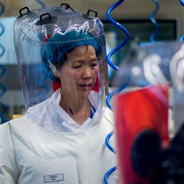 Die Forscherin Shi Zhengli alias Batwoman in ihrem Labor in Wuhan