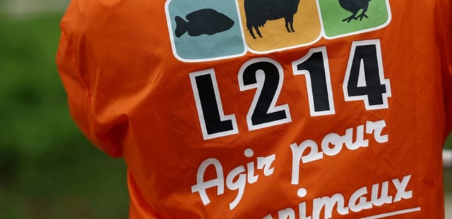 Un militant de l'association animaliste L214 à Rungis le 13 mai 2024