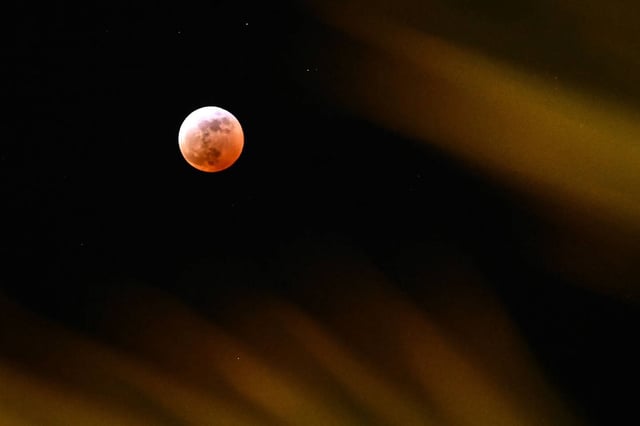 Une éclipse lunaire partielle, visible au-dessus des frondes d'un palmier lors de l'éclipse lunaire à Palm Springs, en Californie, le 13 mars 2025.