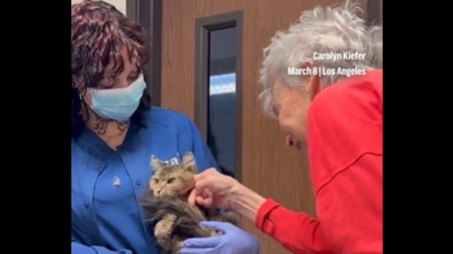A cat feared dead in a California wildfire was reunited with her owner after two months.