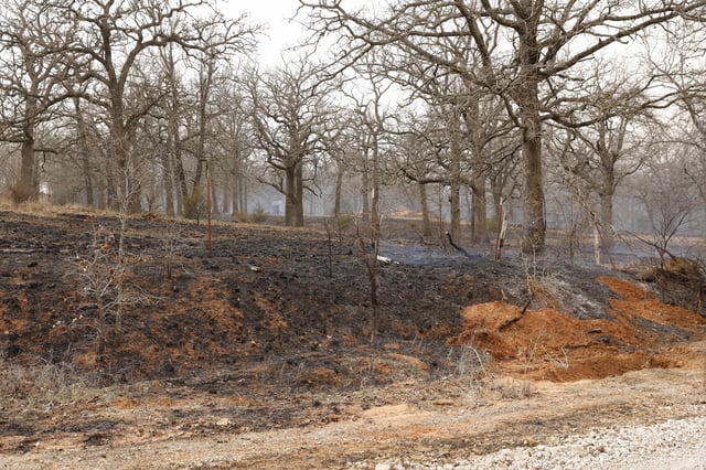 A wildfire spread through the country side SE of Norman, Okla. on Friday, March 14, 2025. (AP Photo/Alonzo Adams)