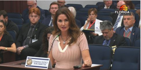 Rep. Michelle Salzman, R-Pensacola, is leading an effort to repeal a key provision of the post-Parkland gun law that prohibits people under age 21 from buying rifles and long guns.