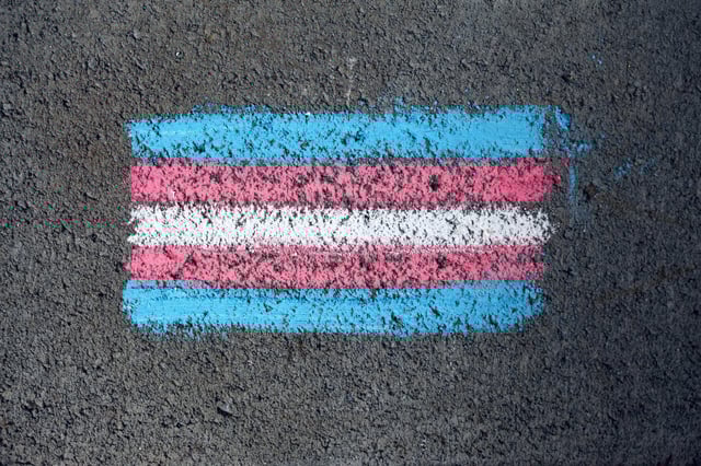 chicago illinois transgender