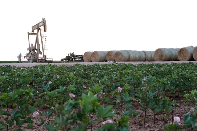 Oil pump jacks work at sunset near Midland, Texas, U.S. August 21, 2019.