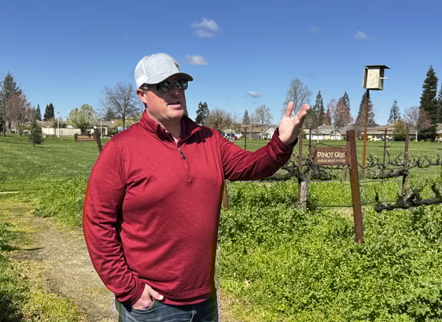 Craig Ledbetter of Vino Farms stands in a demonstration vineyard outside the Lodi Wine Visitor Center in Lodi, Calif., March 18, 2025. (AP Photo/Terry Chea)