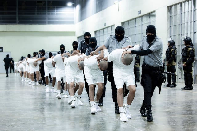 In this photo provided by El Salvador's presidential press office, prison guards transfer deportees from the US, alleged to be Venezuelan gang members, to the Terrorism Confinement Center in Tecoluca, El Salvador, Sunday, March 16, 2025.