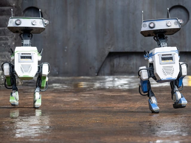 Star Wars BDX droids at Disney's "Season of the Force" event.