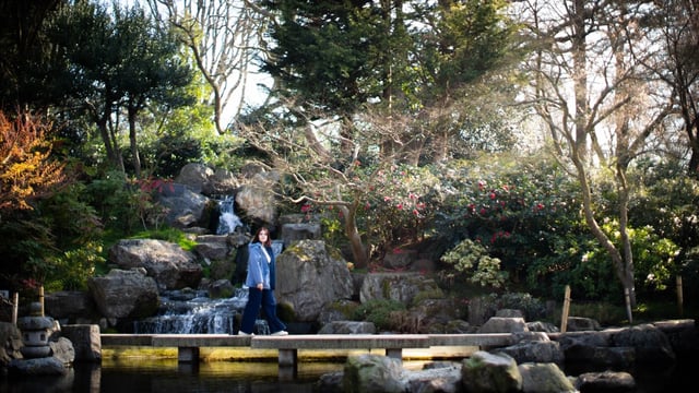 The National Trust is urging people to get out and see spring blooms, as in the Kyoto Garden in west London
