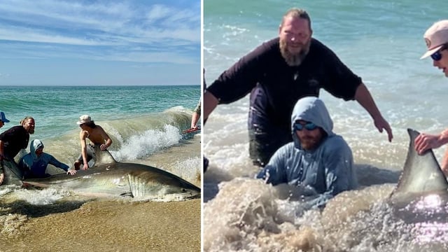 North Carolina fishermen catch, release giant great white shark in scary video (Sean Luke and The Sea/Facebook)