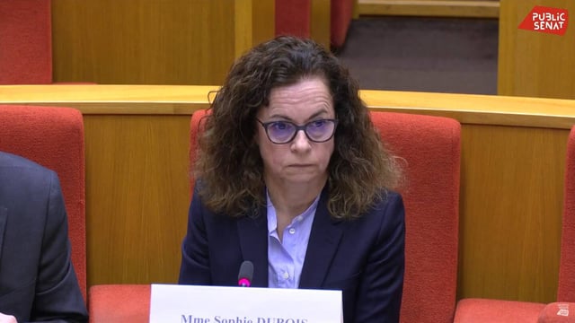 Sophie Dubois, directrice générale de Nestlé Waters France d'avril 2018 à janvier 2025 et actuelle présidente de la branche France lors de son audition au Sénat, le 19 mars 2025.