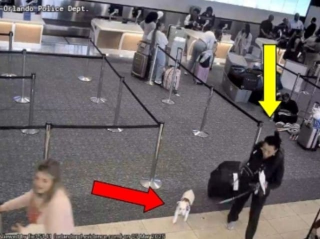 A still from a surveillance video shows a woman alleged to have drowned her dog in Orlando International Airport.