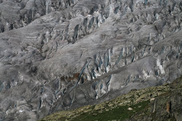 A close-up of The Great Aletsch glacier is pictured at Eggishorn mountain, in Fiesch, Switzerland July 31, 2019. Picture taken July 31, 2019. REUTERS/Catherine Muzolf/File Photo