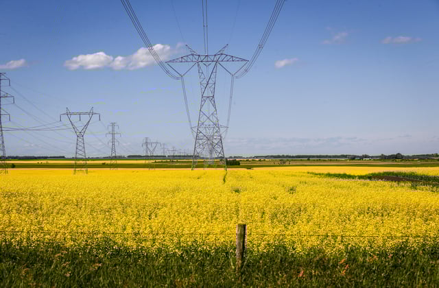 Canola fields and power transmission lines near Cremona, Alta., Thursday, July 25, 2019.THE CANADIAN PRESS IMAGES/Jeff McIntosh