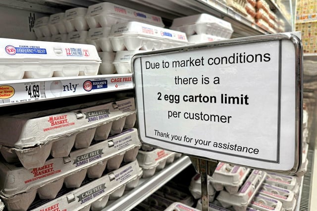 Un magasin du Massachusetts a dû limiter la vente de boîtes d'oeufs à ses clients, le 8 mars 2025.
