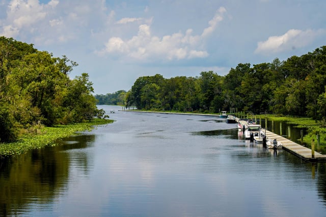 Saint Johns River, Fla., on August 14, 2024. 