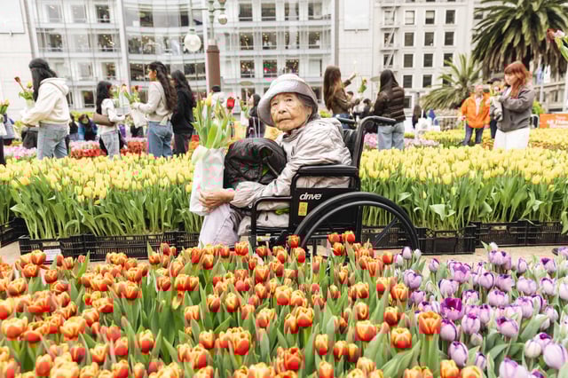 Teiko Lewis, who is originally from Japan and has lived in San Francisco since the 1950s, attends Tulip Day in Union Square.