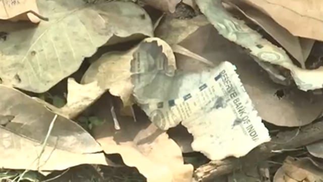 Burnt debris allegedly seen near Justice Yashwant Varma's residence in Delhi.