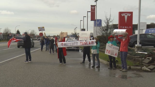 A crowd of about a dozen people set up outside the Tesla dealership in Langley adding their voices to the growing sentiment about the car company's controversial owner.