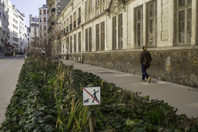 Une rue végétalisée et piétonnisée dans le XVIIe arrondissement de Paris.