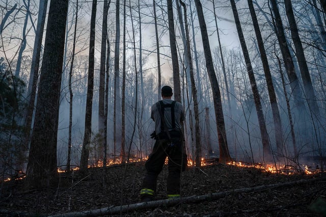 Troutman Fire Department firefighter Sam Mills watches a backburn preventative fire to stop the spread of the Deep Woods Fire on Sunday in Columbus, North Carolina.