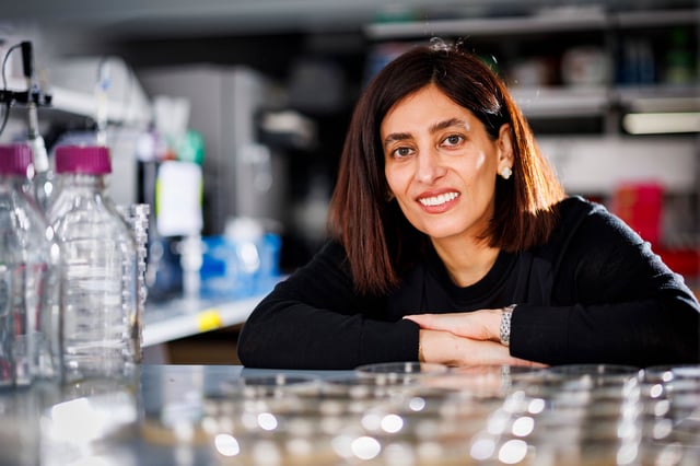“By revealing how a light-activated switch can reshape cells in real time, we’re uncovering basic design principles for how living systems self-organize and evolve shape,” says the study’s senior author, Nikta Fakhri, associate professor of physics at MIT