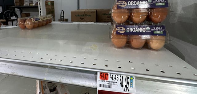 Um die Seuche einzudämmen, wurden in den USA zahlreiche Legehennen gekeult