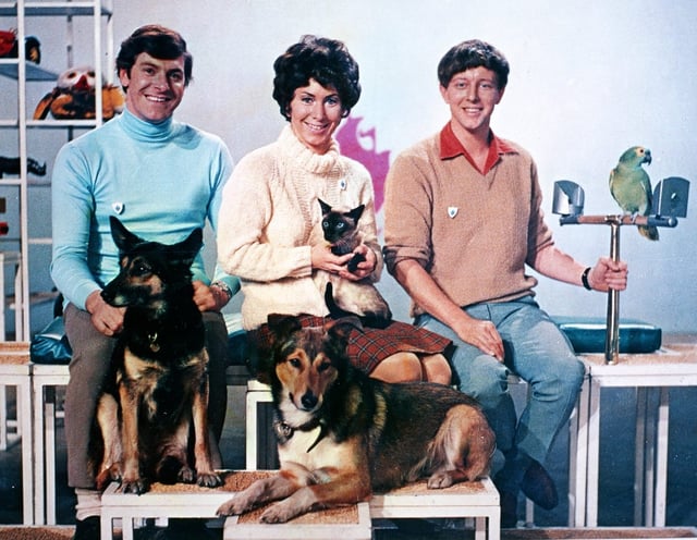 Caption: Television programme: Blue Peter
L-R Peter Purves, Valerie Singleton, John Noakes with pets.
Copyright: BBC PICTURE ARCHIVES
