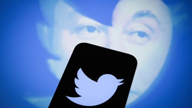 Illustration that inserts Elon Musk's face into Twitter's bird-shaped logo.